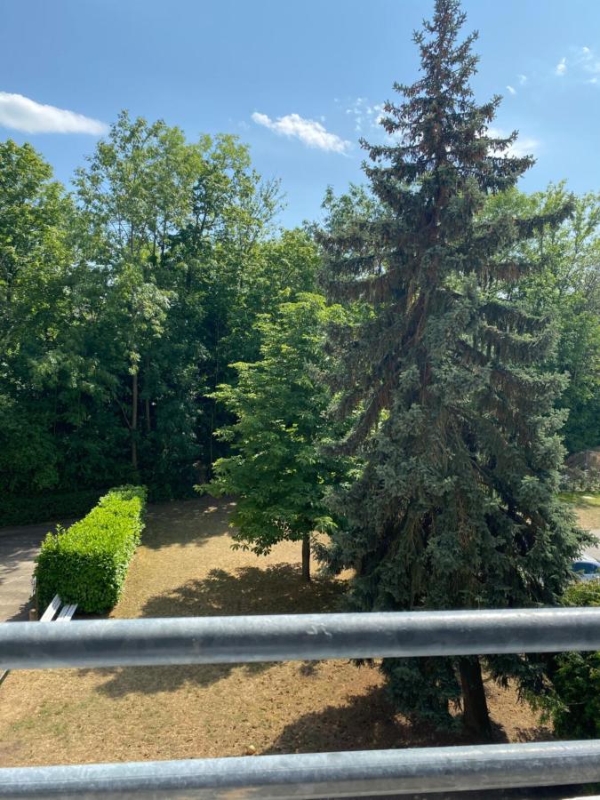 Zentrales Privatapartment Bad Homburg vor der Höhe Dış mekan fotoğraf